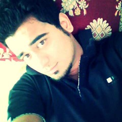 ali shaukat 3