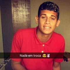viniciuswl