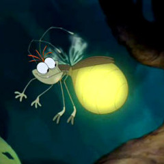 luciole