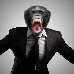 ROYAL MONKEY