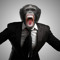 ROYAL MONKEY