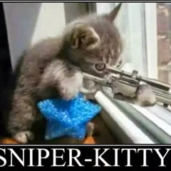 Kitty Berk