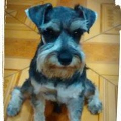 Kelly Arnao Sandoval