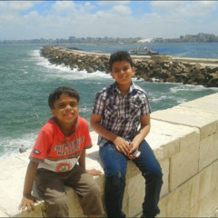 user438240113