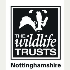 Christmas in Slab Square