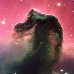 Totem Troll's repost page