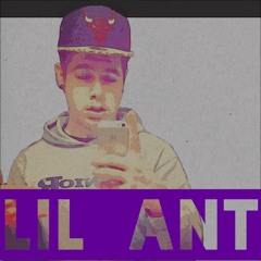Aye Ant