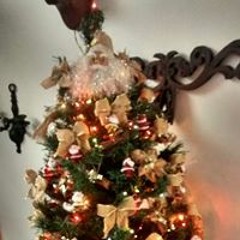 Luis Ernesto Avila Rojas