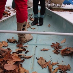 Courtney Leigh Krauter