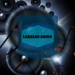 Labeled Demo