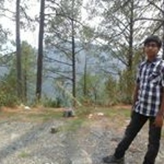sajal