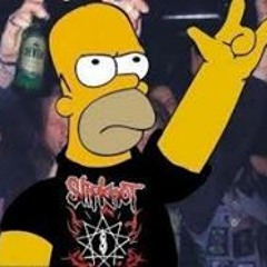 Vinicius Ferraz Barcelos