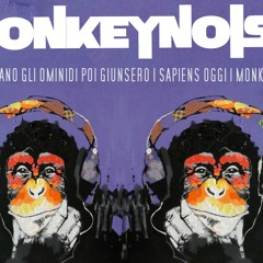 monkeynoise