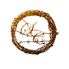 The Savage Collective