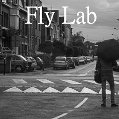 Fly Lab