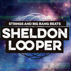 Sheldon Looper