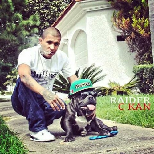 SoundCloud profile picture for @cower