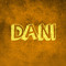 DANI