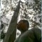 Rafael David Bravo Obando