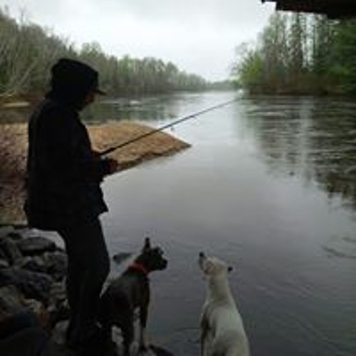 Stream PierreOlivier Gobeil music Listen to songs, albums, playlists