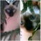user312510120