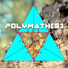 Polymath[S]