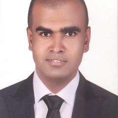 Amr Adel