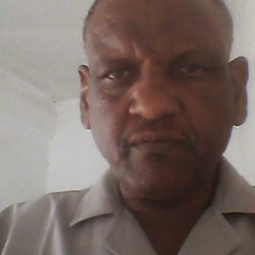 التاج مصطفى