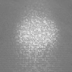 Paula Camirzan Tudor