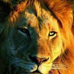 Og Kings Joe Everhart