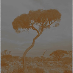 Harley and the Dead Folk