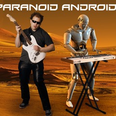 Paranoid Android Band
