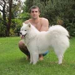 Felix Nowakowski