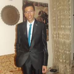 Mustafa Mohamed Metwally