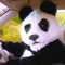 Endless & Panda X