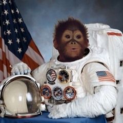 Insane Space Monkey