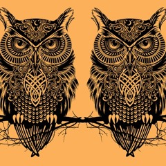 owlzan