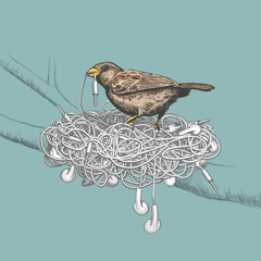 The Sound Collector