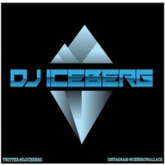 DJ Iceberg 416