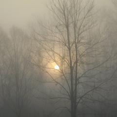 The Mist of Dawn