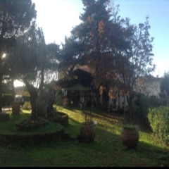 Alessandro Cardone 1