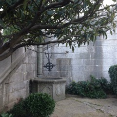 Brieuc Diverres-Bigos