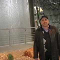 fawaz