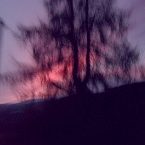 Vincent gallo - When