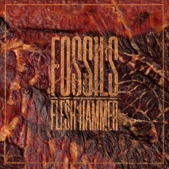 fossilsmusic