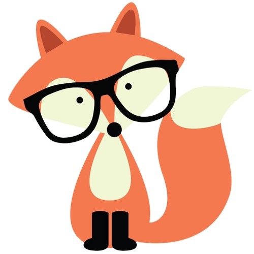 Crowley Fox Producer — artist photo