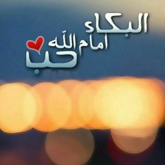 mansourroshdy