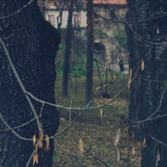 Lifelover - Instrumental Asylum cover