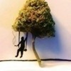 ZHK9_420