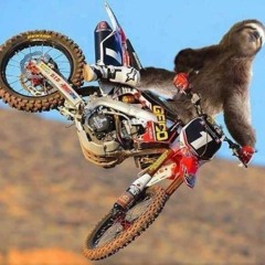Benjamin Wilding